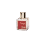 Experience - Baccarat Rouge 540 (Unisex) - Image 4